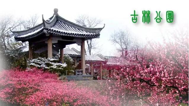 <b>【南京三門(mén)灣電器】周日4.24古林公園賞牡丹花、</b>